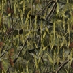 Fishouflage Musky Camo