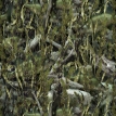 Fishouflage Walleye Camo