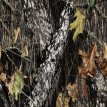 Mossy Oak Breakup